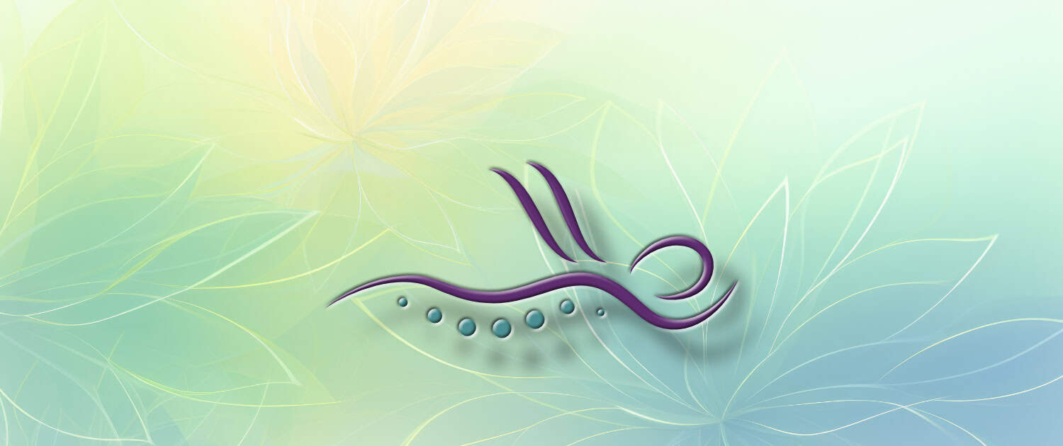 Meine Angebote Udo Baer